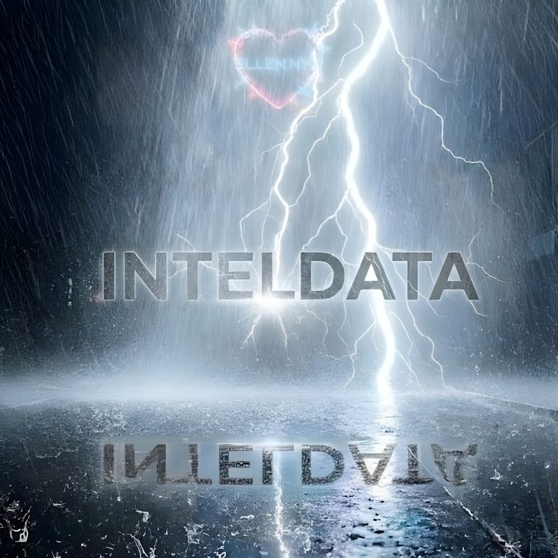 INTELDATA 커버 아트
